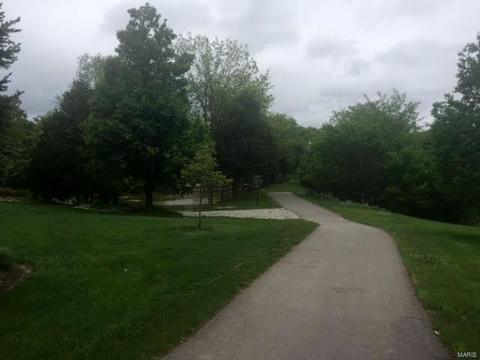 303 Merlin Dr, Weldon Spring, MO 63304 photo 51