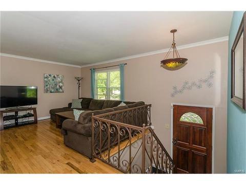 1005 Parkfield Ter, Ballwin, MO 63021 photo 13