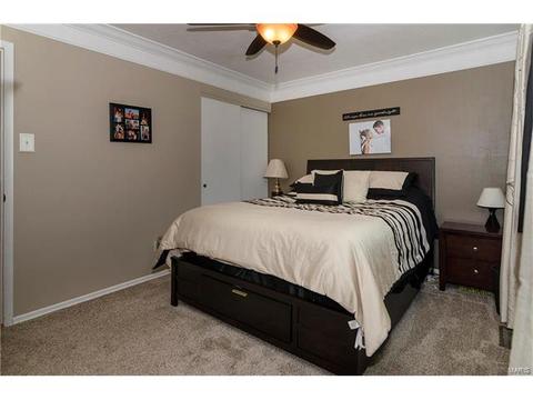1005 Parkfield Ter, Ballwin, MO 63021 photo 20