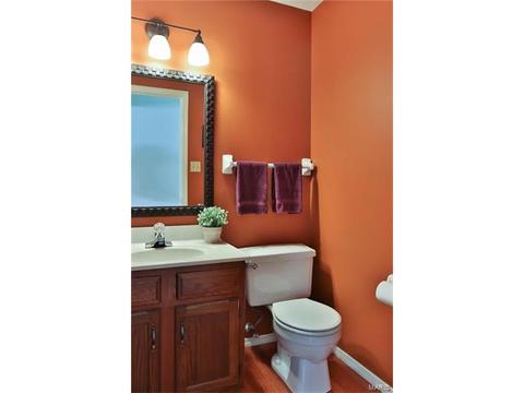 218 Oakmont Farm Dr, Ballwin, MO 63021 photo 12
