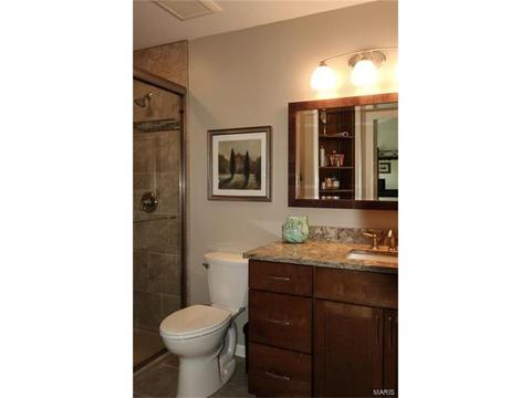218 Oakmont Farm Dr, Ballwin, MO 63021 photo 15