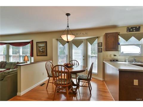 218 Oakmont Farm Dr, Ballwin, MO 63021 photo 10