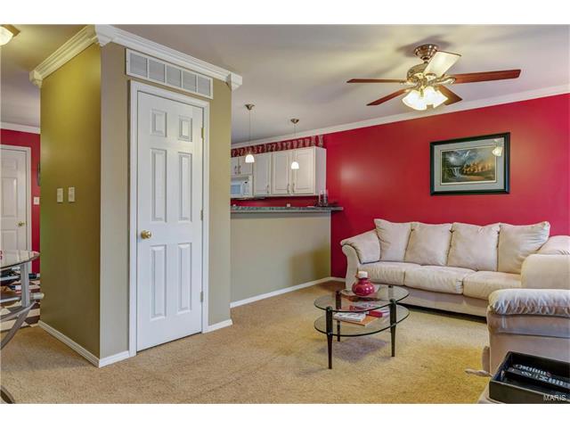 712 Hyde, O'fallon, MO 63366 photo 6