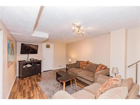 603 Nandale Dr, Ballwin, MO 63021 photo 29