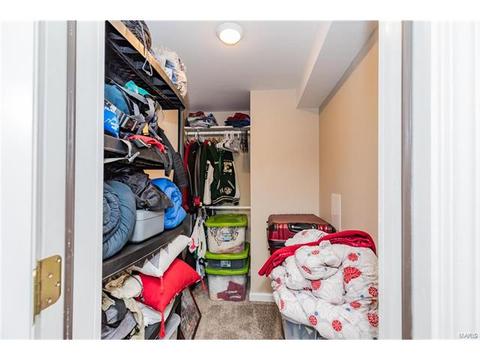 603 Nandale Dr, Ballwin, MO 63021 photo 44