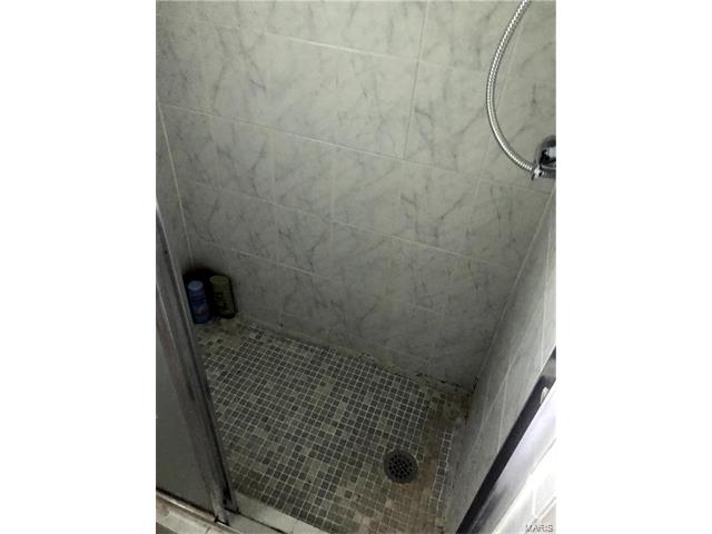 509 Kehrs Ml, Ballwin, MO 63011 photo 44