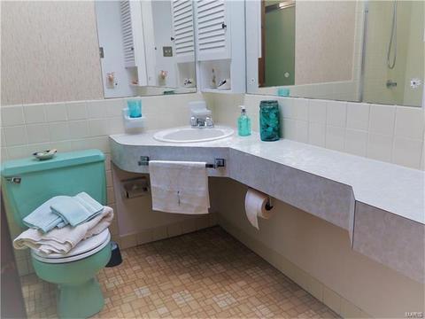 12457 Cape Cod, Saint Louis, MO 63146 photo 15