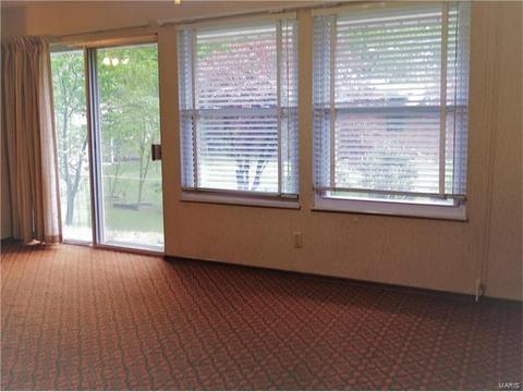 12457 Cape Cod, Saint Louis, MO 63146 photo 10