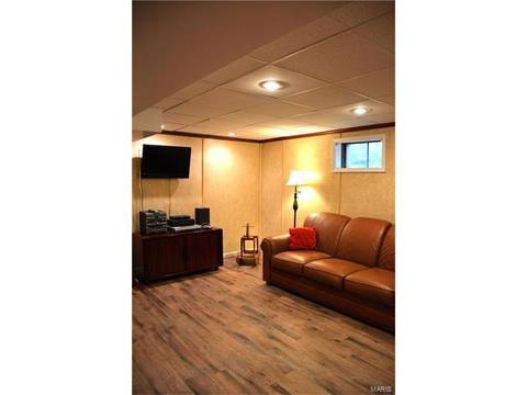 355 Eureka Rd, Eureka, MO 63025 photo 18