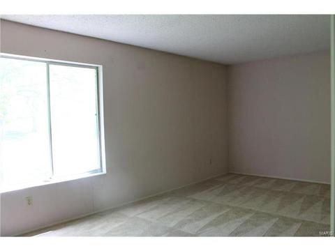 1296 Mautenne Dr, Manchester, MO 63021 photo 15
