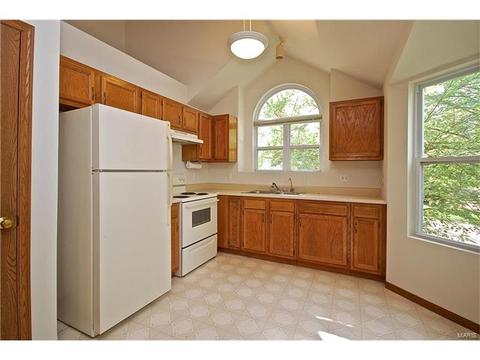 148 Cascade Terrace Dr, Ballwin, MO 63021 photo 10