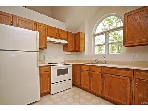 148 Cascade Terrace Dr, Ballwin, MO 63021 photo 11
