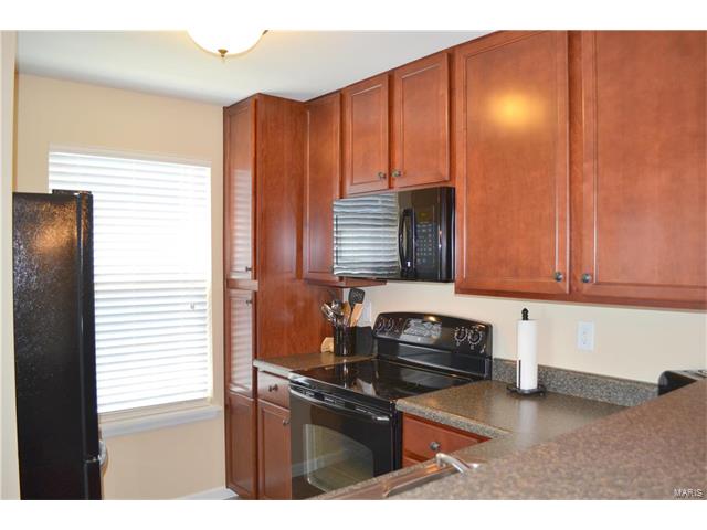 3201 Spring River Dr, O'fallon, MO 63368 photo 8