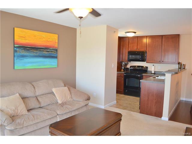 3201 Spring River Dr, O'fallon, MO 63368 photo 5
