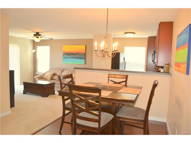 3201 Spring River Dr, O'fallon, MO 63368 photo 4
