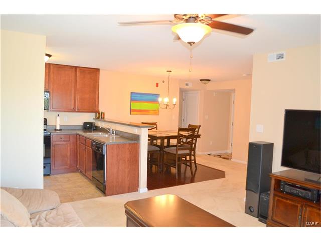 3201 Spring River Dr, O'fallon, MO 63368 photo 6