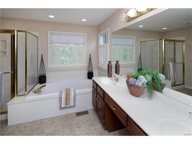 908 Pheasant Woods Dr, Ballwin, MO 63021 photo 16