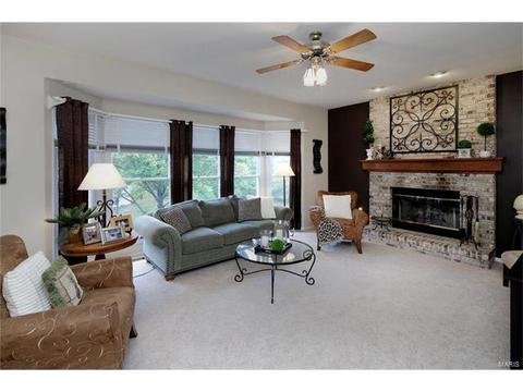 209 Timber Tree, Ballwin, MO 63011 photo 6