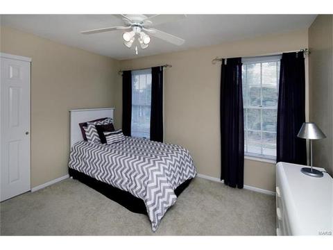 209 Timber Tree, Ballwin, MO 63011 photo 20