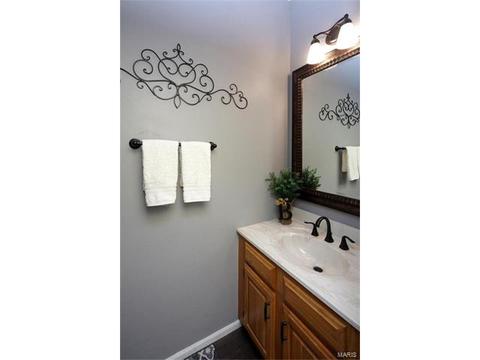 209 Timber Tree, Ballwin, MO 63011 photo 15