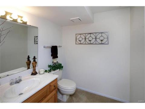 209 Timber Tree, Ballwin, MO 63011 photo 22