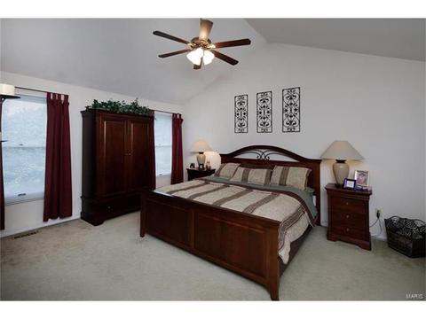 209 Timber Tree, Ballwin, MO 63011 photo 16
