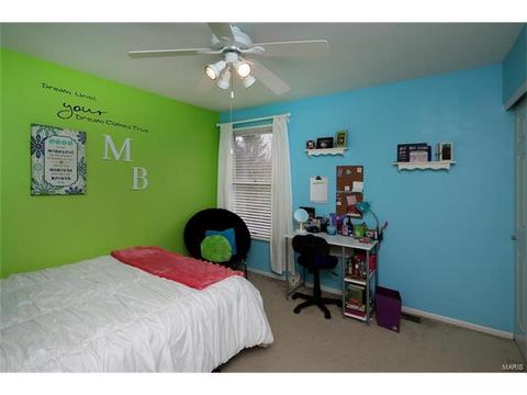 209 Timber Tree, Ballwin, MO 63011 photo 21