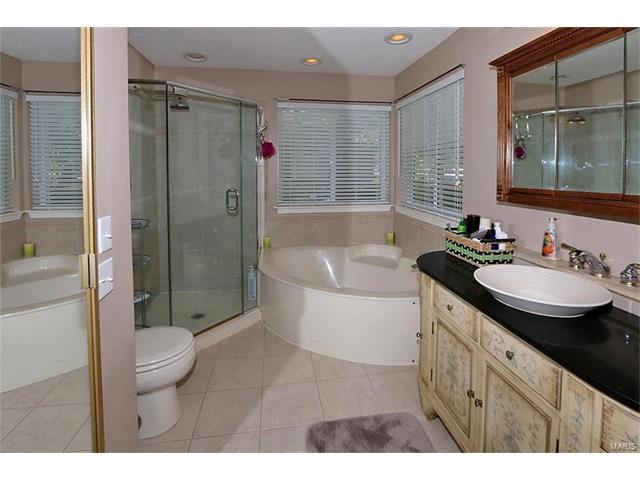 52 Treebeard Cir, Saint Charles, MO 63303 photo 14