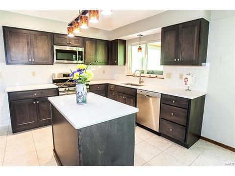 904 Windgate Ct, Fenton, MO 63026 photo 10