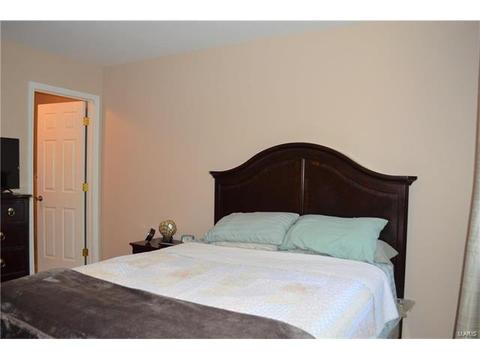 306 Wembley Ln, Ballwin, MO 63021 photo 20