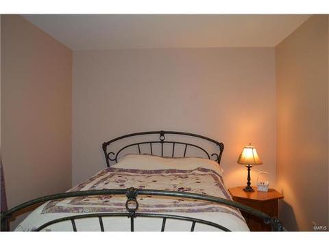 306 Wembley Ln, Ballwin, MO 63021 photo 24