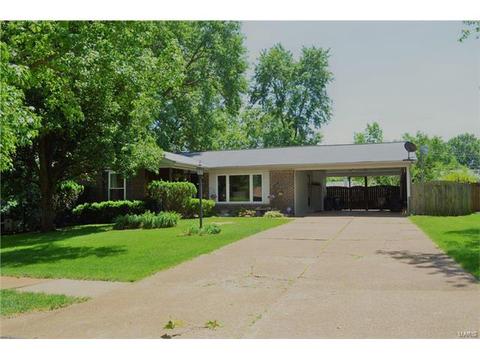 306 Wembley Ln, Ballwin, MO 63021 photo 42