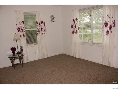 319 Theodore Dr, Eureka, MO 63025 photo 13