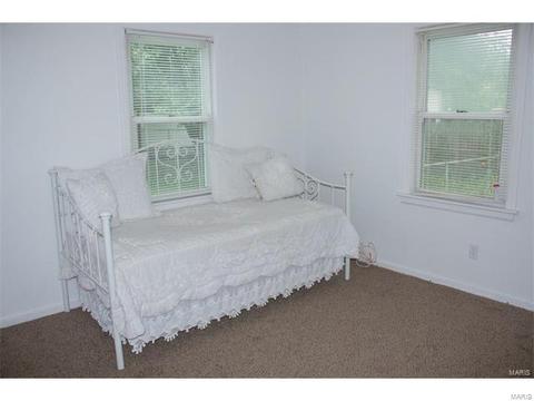 319 Theodore Dr, Eureka, MO 63025 photo 10