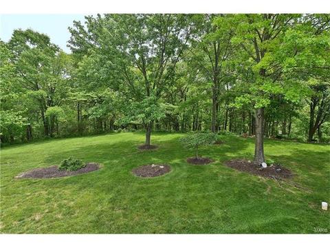 860 Woodside Trails Dr, Ballwin, MO 63021 photo 2