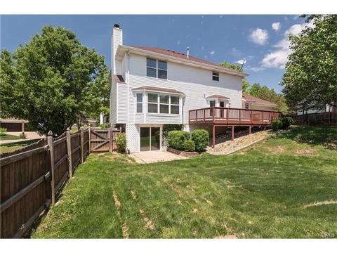 53 Georgetown Cir, O'fallon, MO 63368 photo 30
