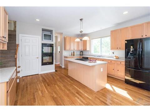 16037 Forest Valley Dr, Ballwin, MO 63021 photo 18
