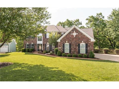 16037 Forest Valley Dr, Ballwin, MO 63021 photo 43