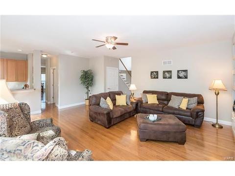 16037 Forest Valley Dr, Ballwin, MO 63021 photo 13