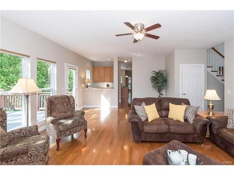 16037 Forest Valley Dr, Ballwin, MO 63021 photo 14