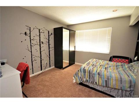 960 Imperial, Ballwin, MO 63021 photo 13
