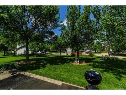131 Royallmanor Ln, O'fallon, MO 63368 photo 40