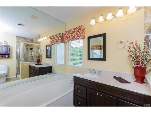 131 Royallmanor Ln, O'fallon, MO 63368 photo 21
