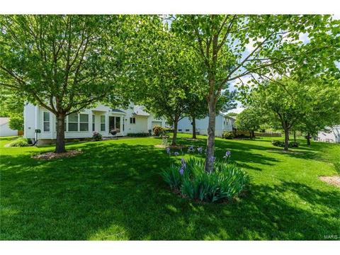 131 Royallmanor Ln, O'fallon, MO 63368 photo 36