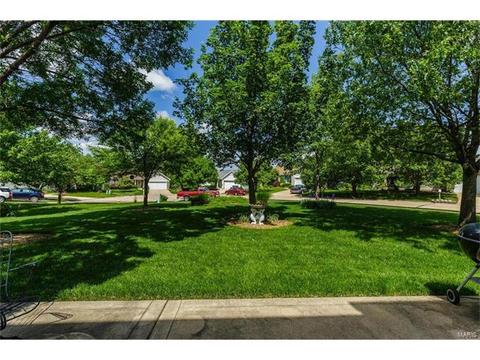 131 Royallmanor Ln, O'fallon, MO 63368 photo 39