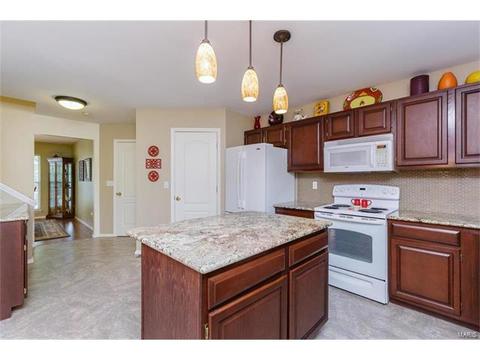131 Royallmanor Ln, O'fallon, MO 63368 photo 13