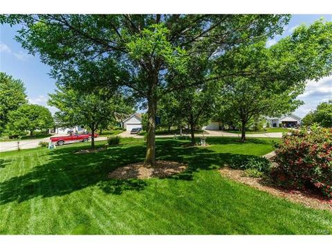 131 Royallmanor Ln, O'fallon, MO 63368 photo 43