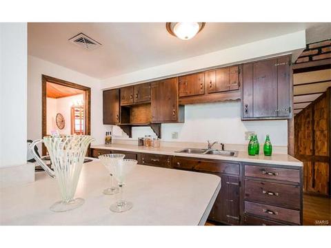 115 Scott Ave, Saint Louis, MO 63135 photo 8