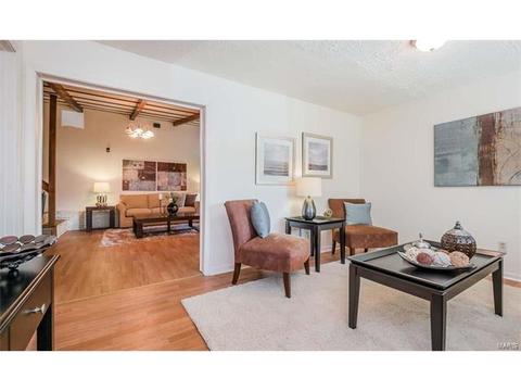 115 Scott Ave, Saint Louis, MO 63135 photo 5