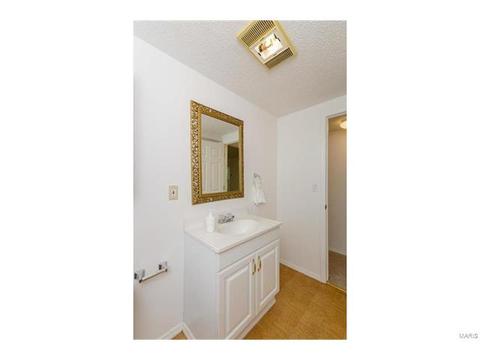 514 Winter Park, O'fallon, MO 63366 photo 39